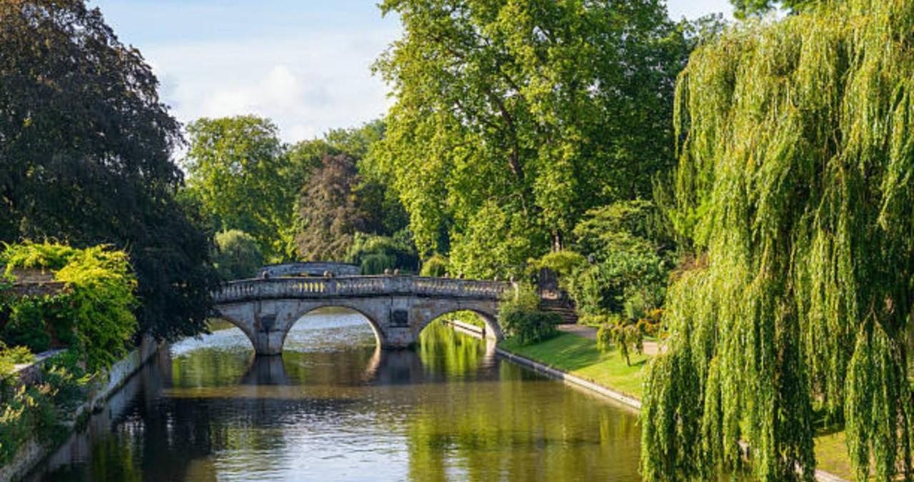 Stunning 1Br - Super Central- Peaceful Area - Lower Ground Apartment Cambridge  Exterior foto
